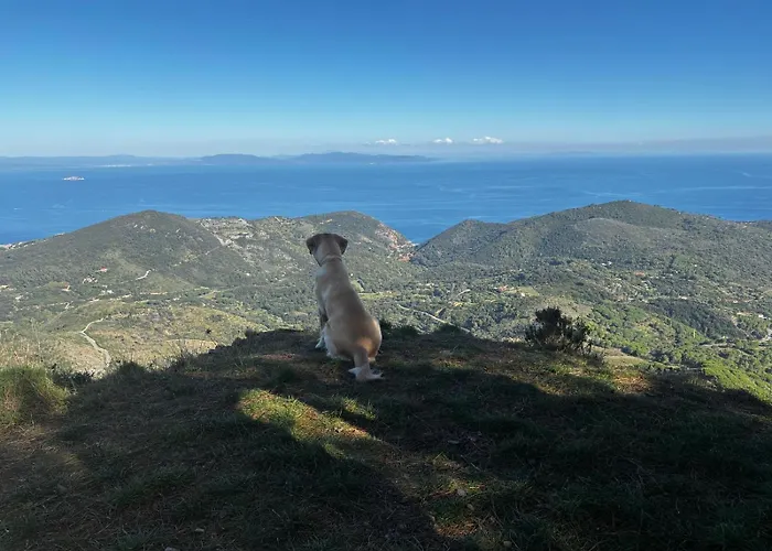 Bed & Breakfast Gli Acquerelli *